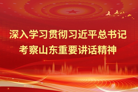 深入學(xué)習(xí)貫徹習(xí)近平總書(shū)記考察山東重要講話精神